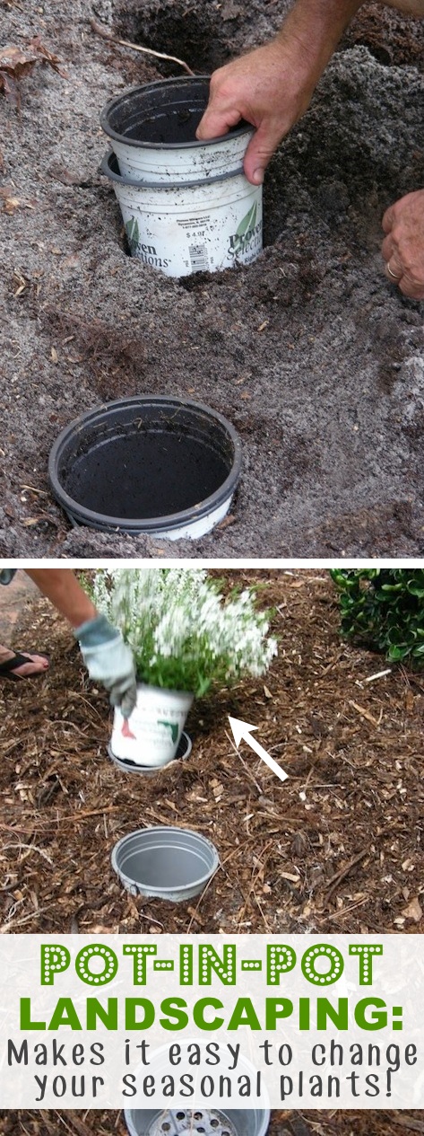 Easy DIY gardening tips and ideas for beginners and beyond! Tips and tricks for your flower or vegetable garden, or for your front or backyard landscaping design. A few garden projects and ideas you can do for cheap! Listotic.com