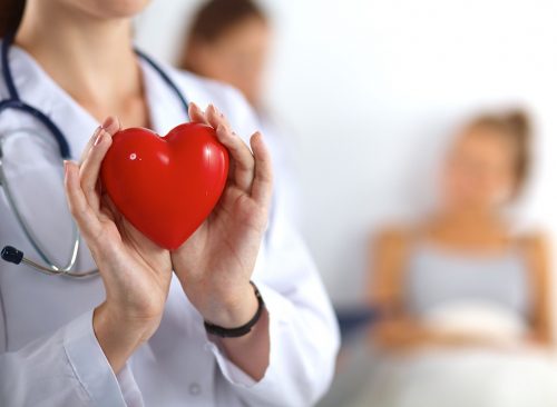 Macintosh HD:Users:brittanyloeffler:Downloads:Heart Disease:doctor-holding-heart-500x366.jpg